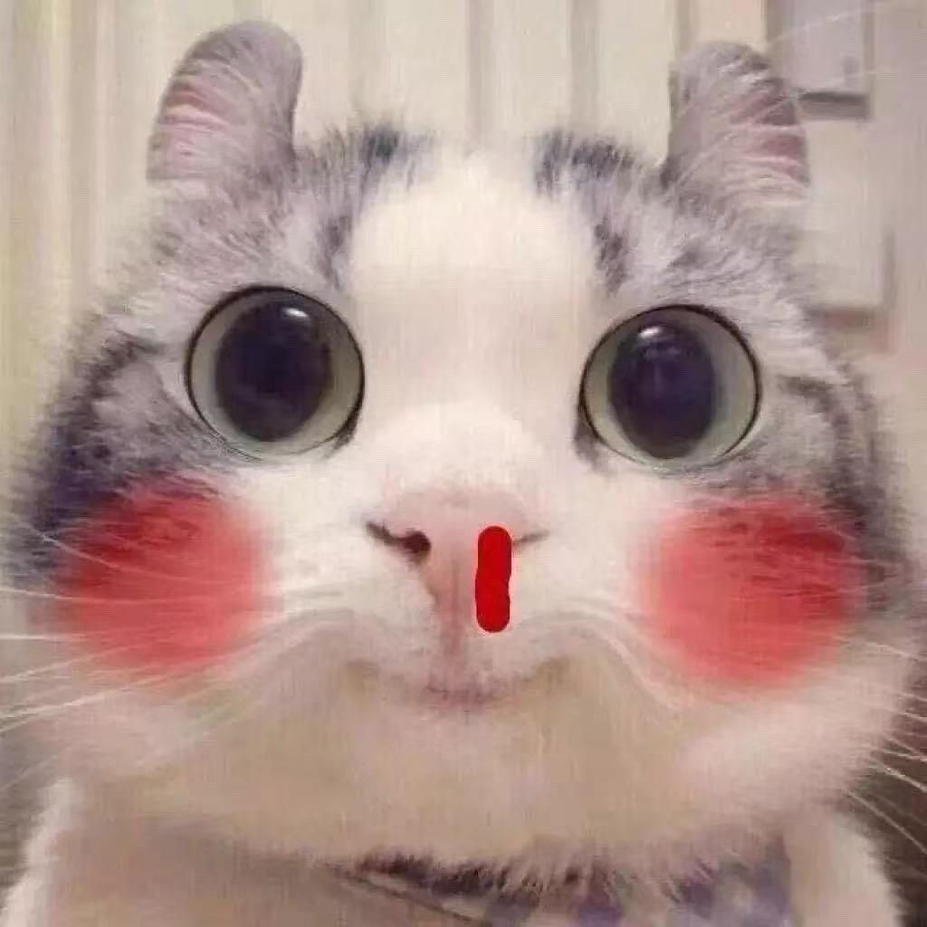 磊