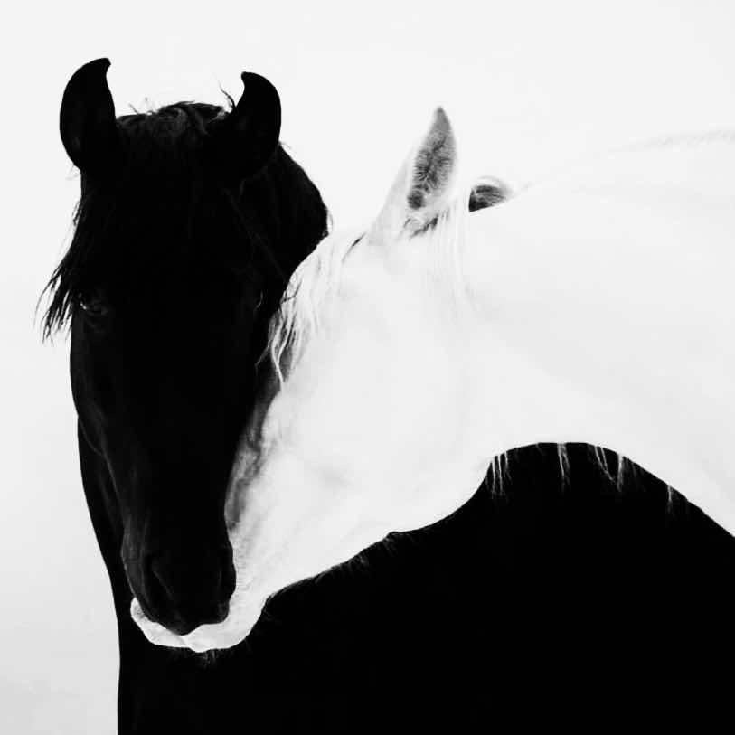 ￴￴ ￴￴￴ ￴ ￴￴