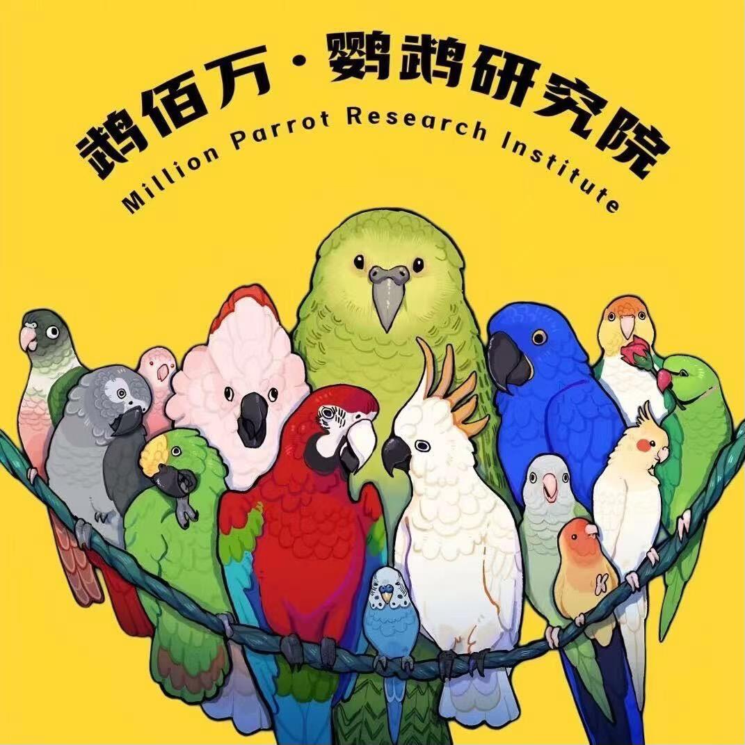 鹉佰万·鹦鹉研究院-小潘