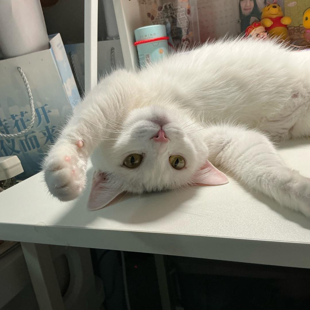 无辣不欢的广东妹