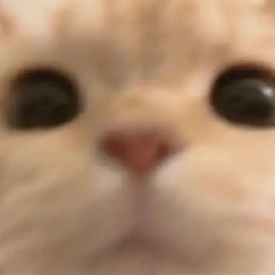 猫猫（逆水寒）