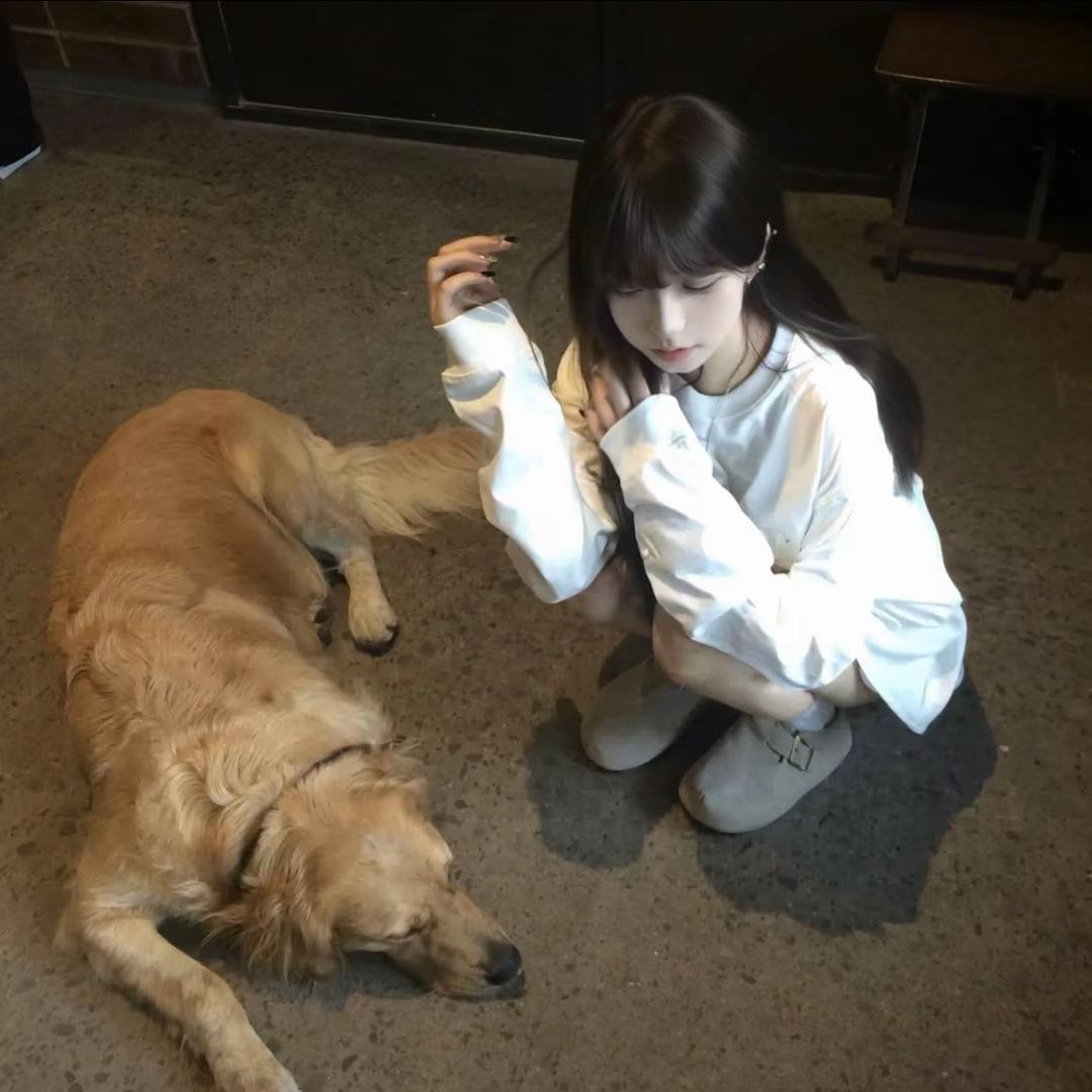 人丑衣服破说啥都是错