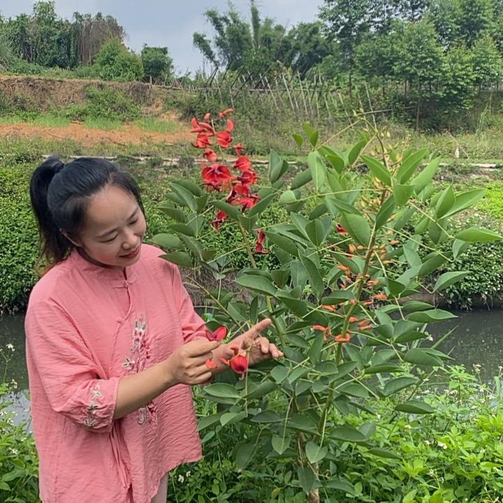半夏老百货