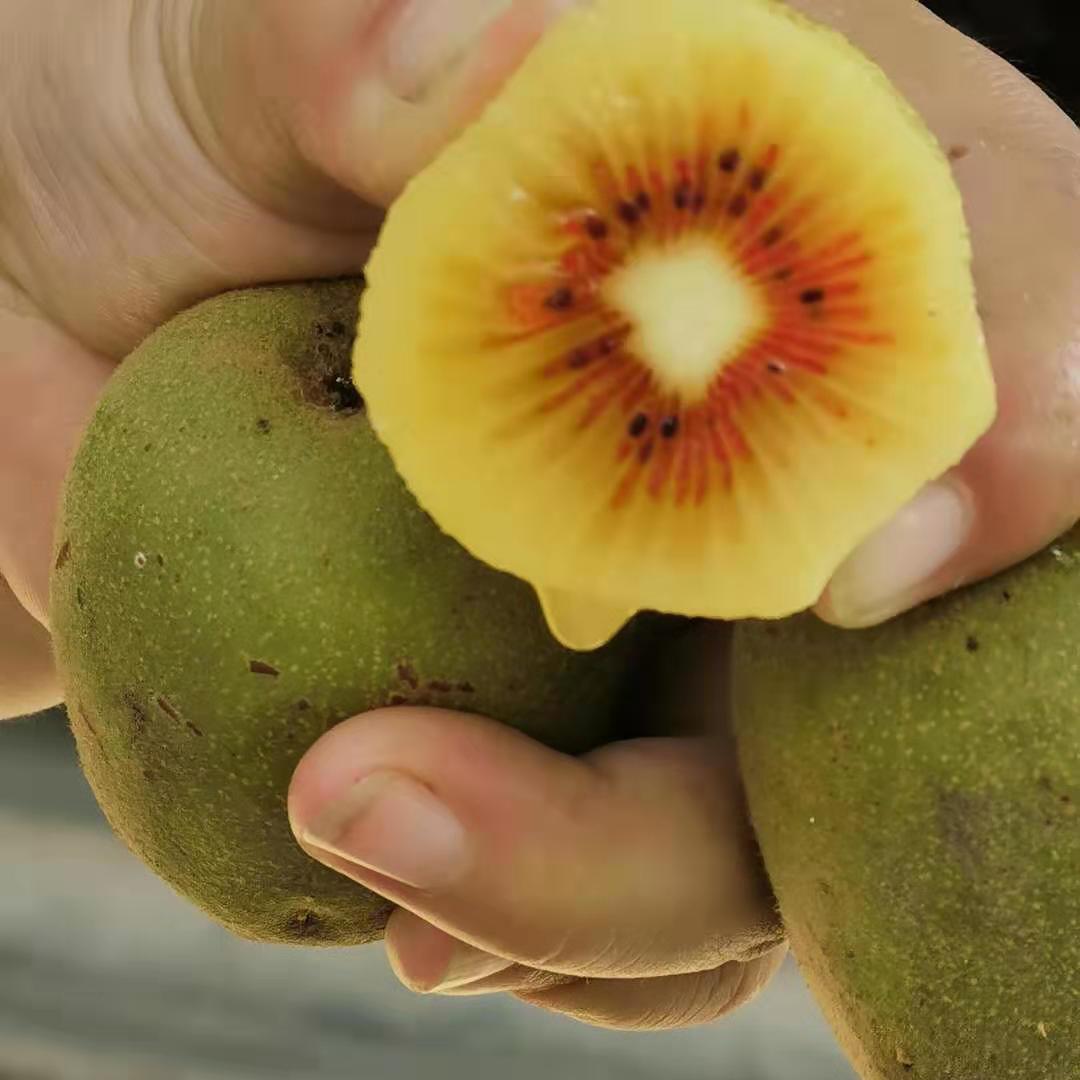 宜佳鲜电子商务