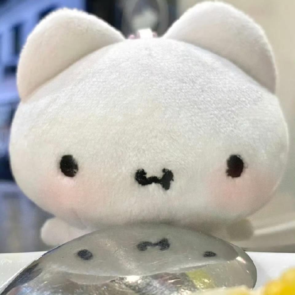 一只椰🥥
