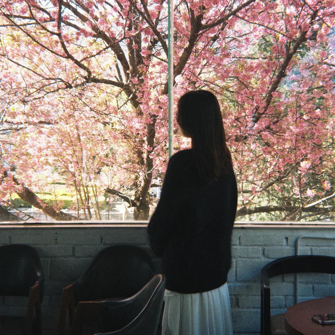 Hanabi（线下单杀faker版）