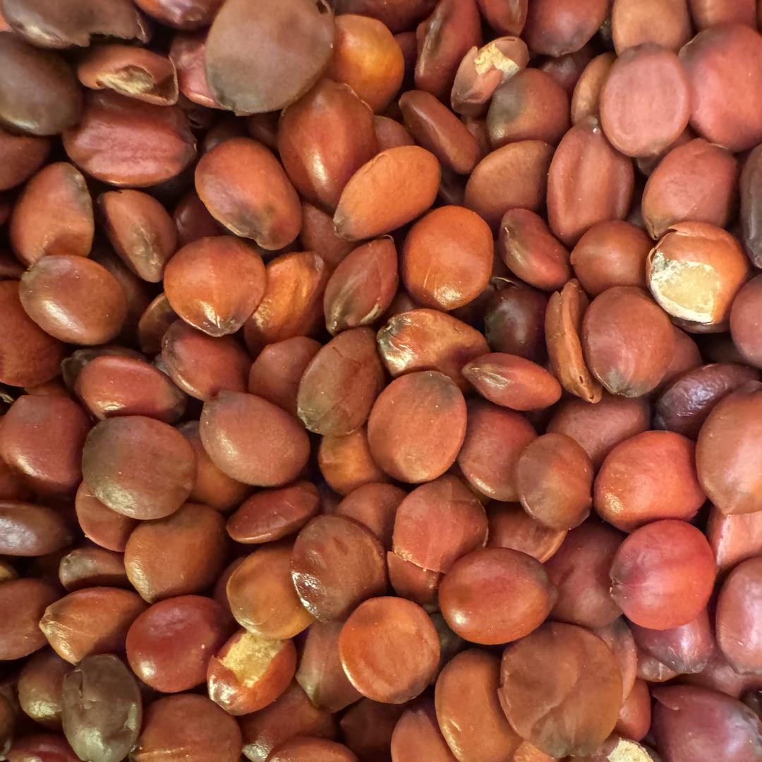 盈珊农品酸枣仁