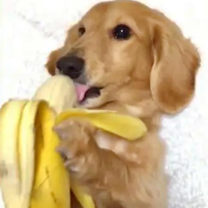 香蕉🍌