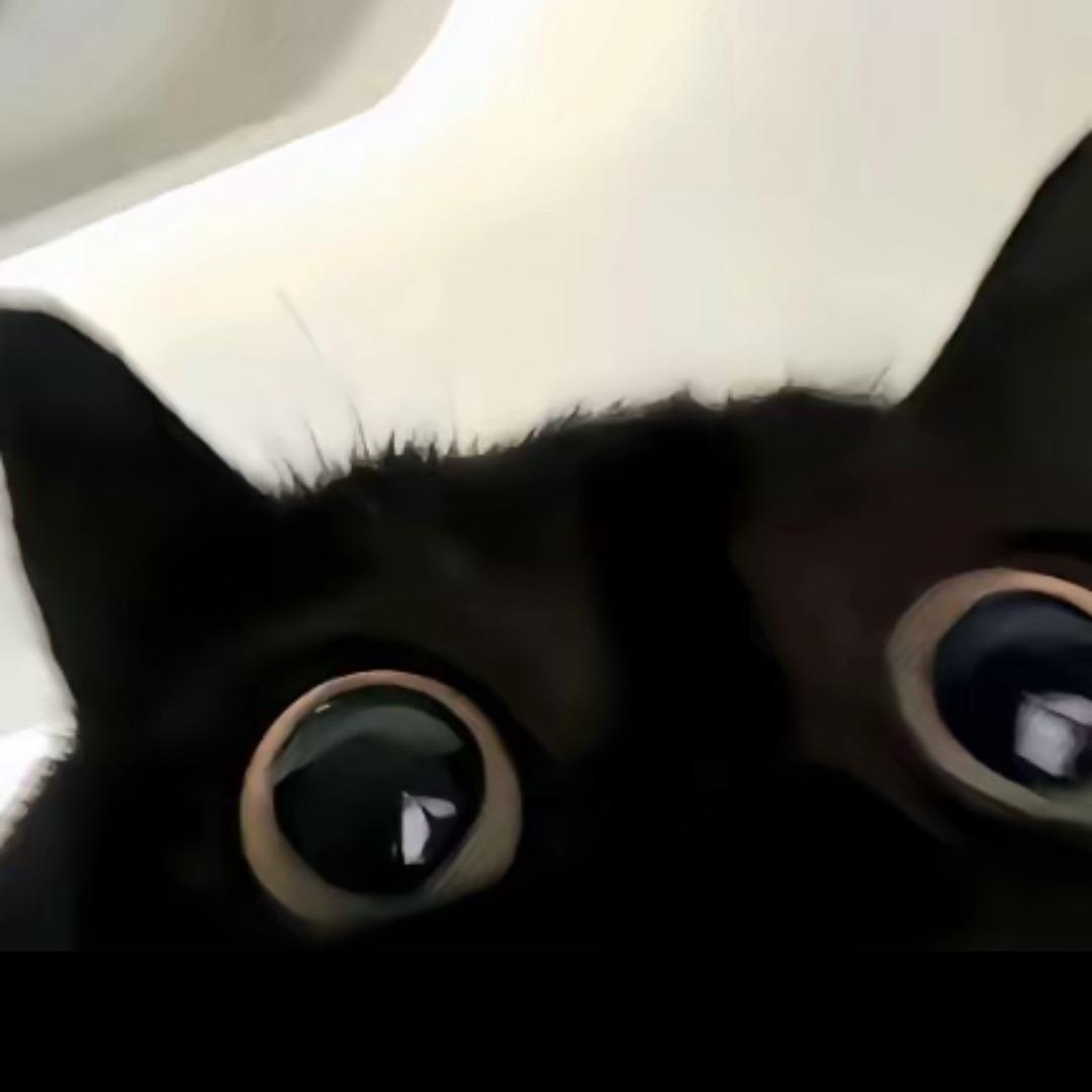 搬砖的香辣鸡腿堡