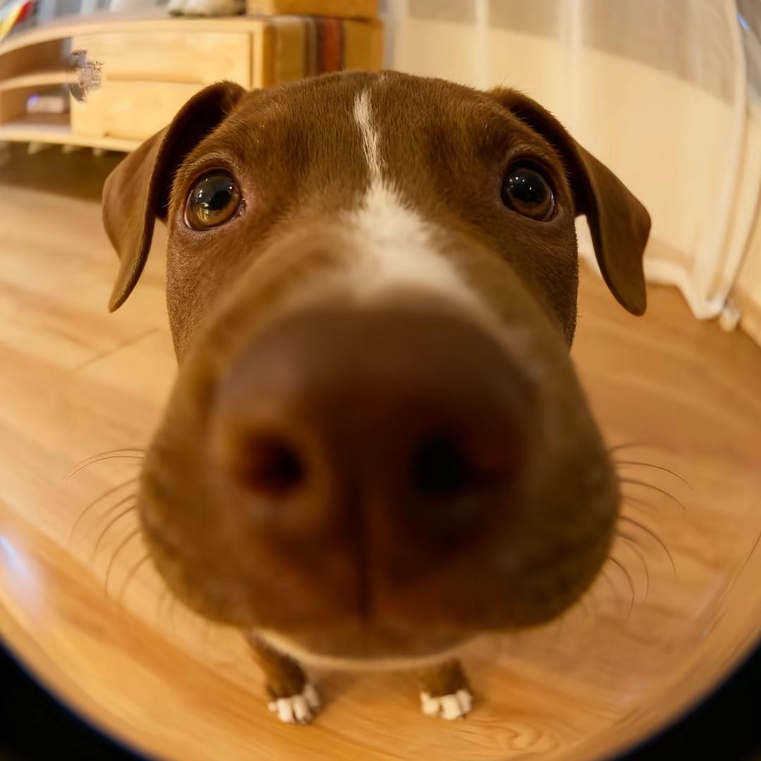 Floe ㅤㅤㅤㅤㅤ