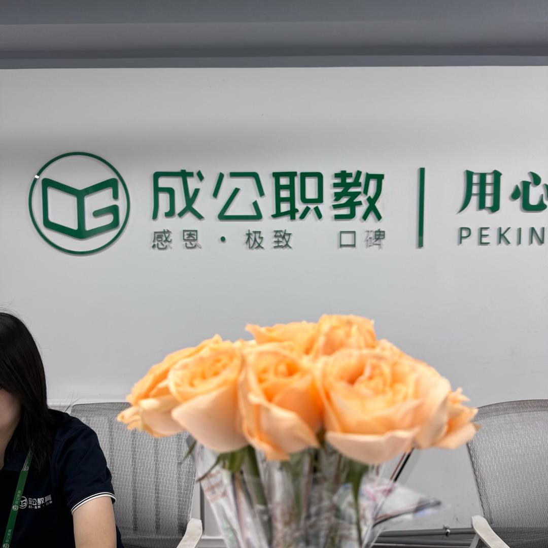 成公上岸—大师兄
