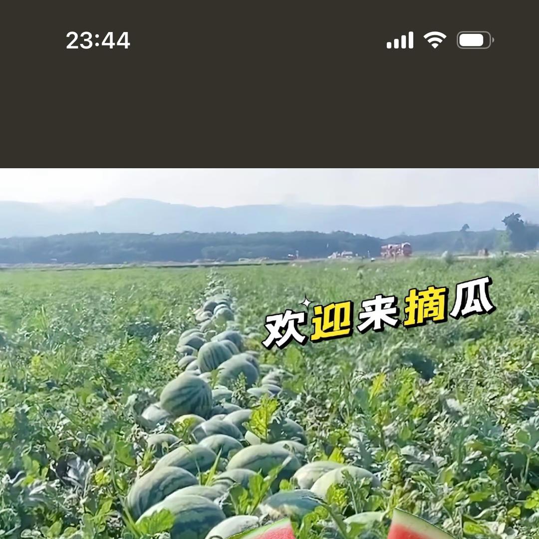 华东果业@鲜果供应链