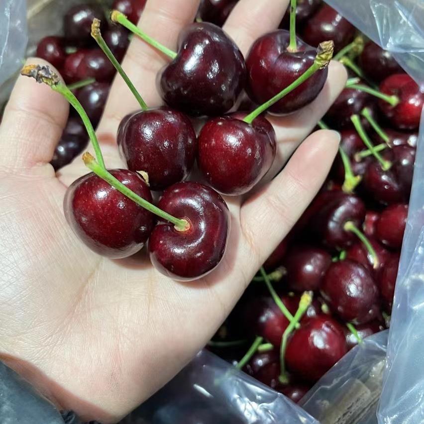 叫果供应链小时达