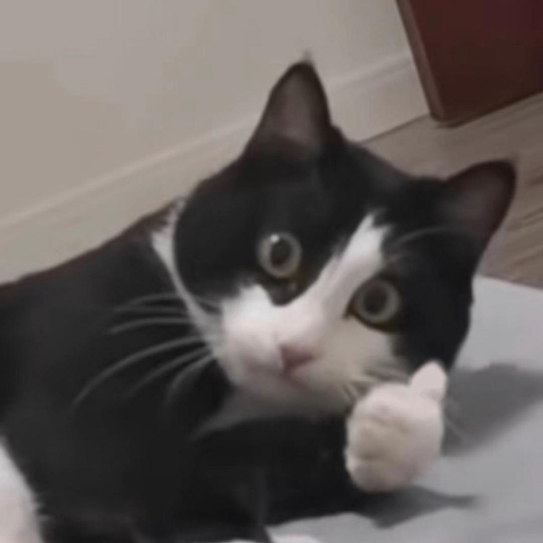 你牛行了吧
