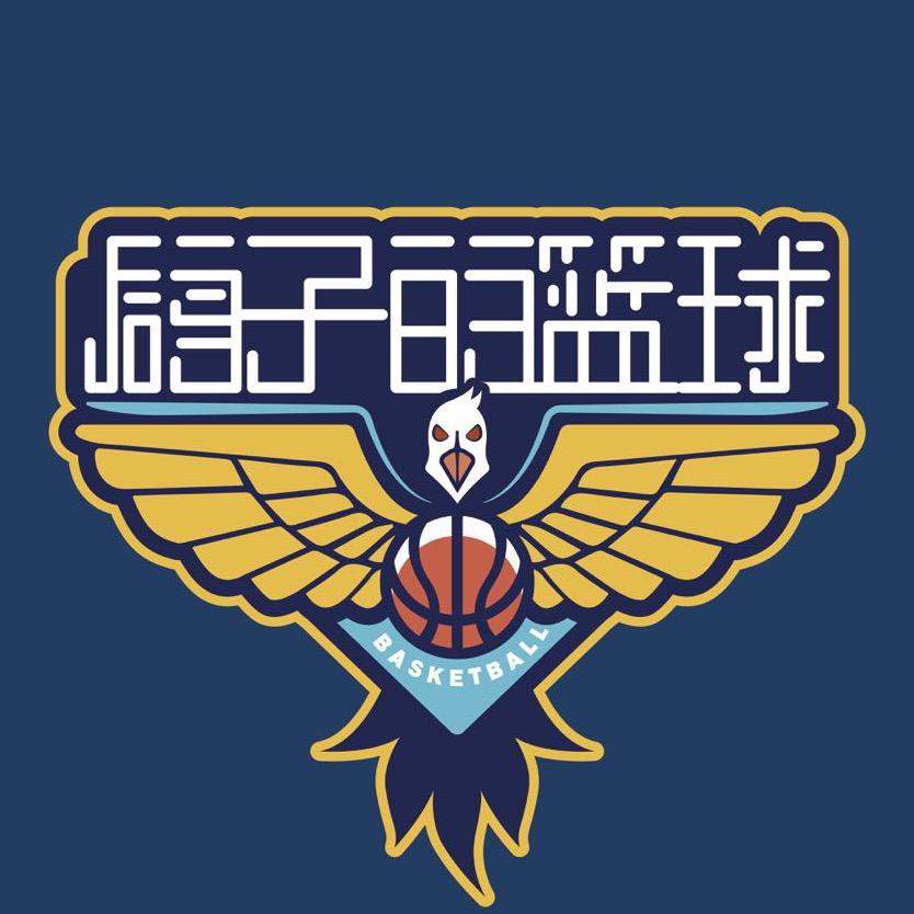 鸽子的篮球