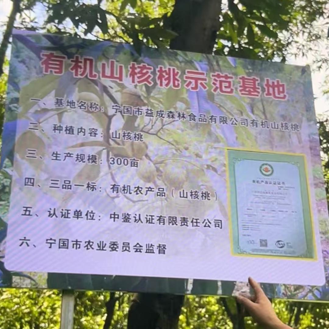 品牌坚果厂家直销