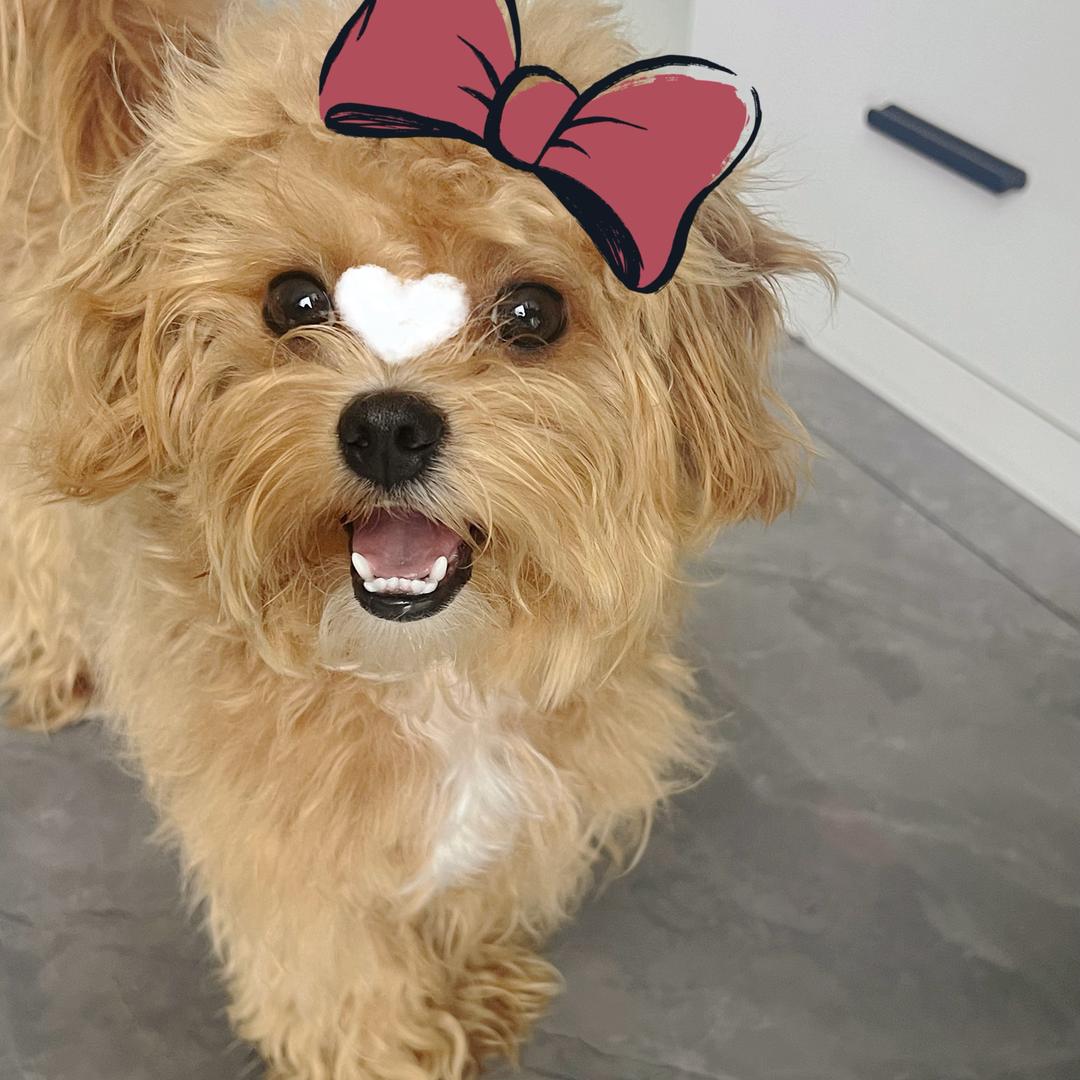 蛋卷儿💜