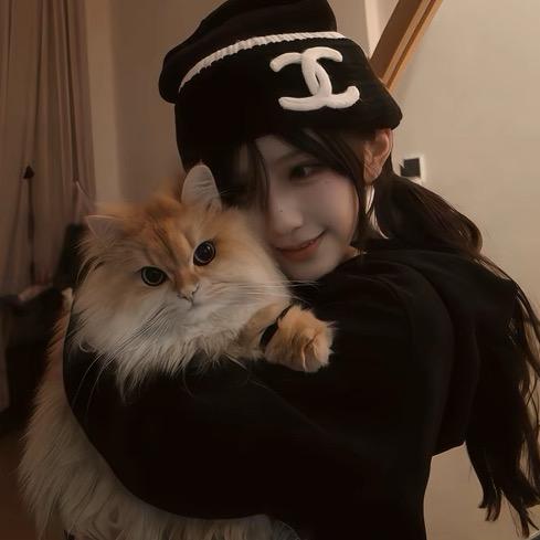 巷子里的猫|˄·͈༝·͈˄₎.｡