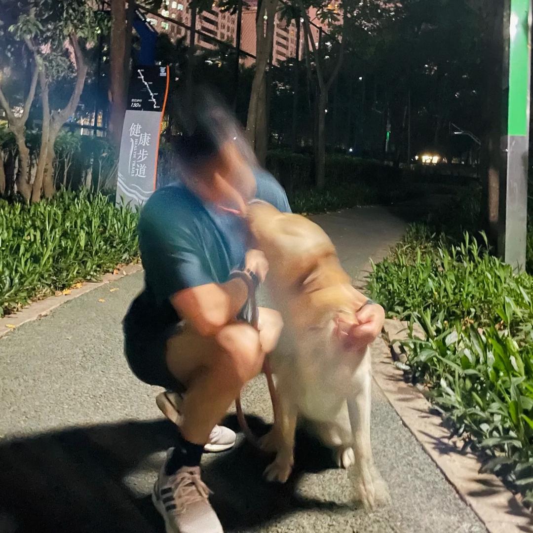 王楠聊养狗