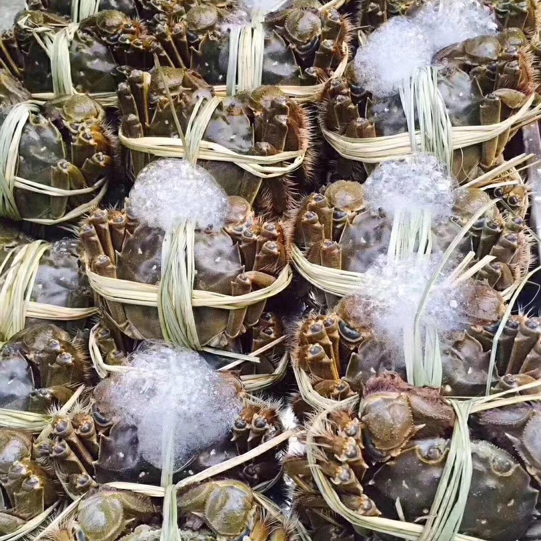 黄尊蟹阁大闸蟹精品