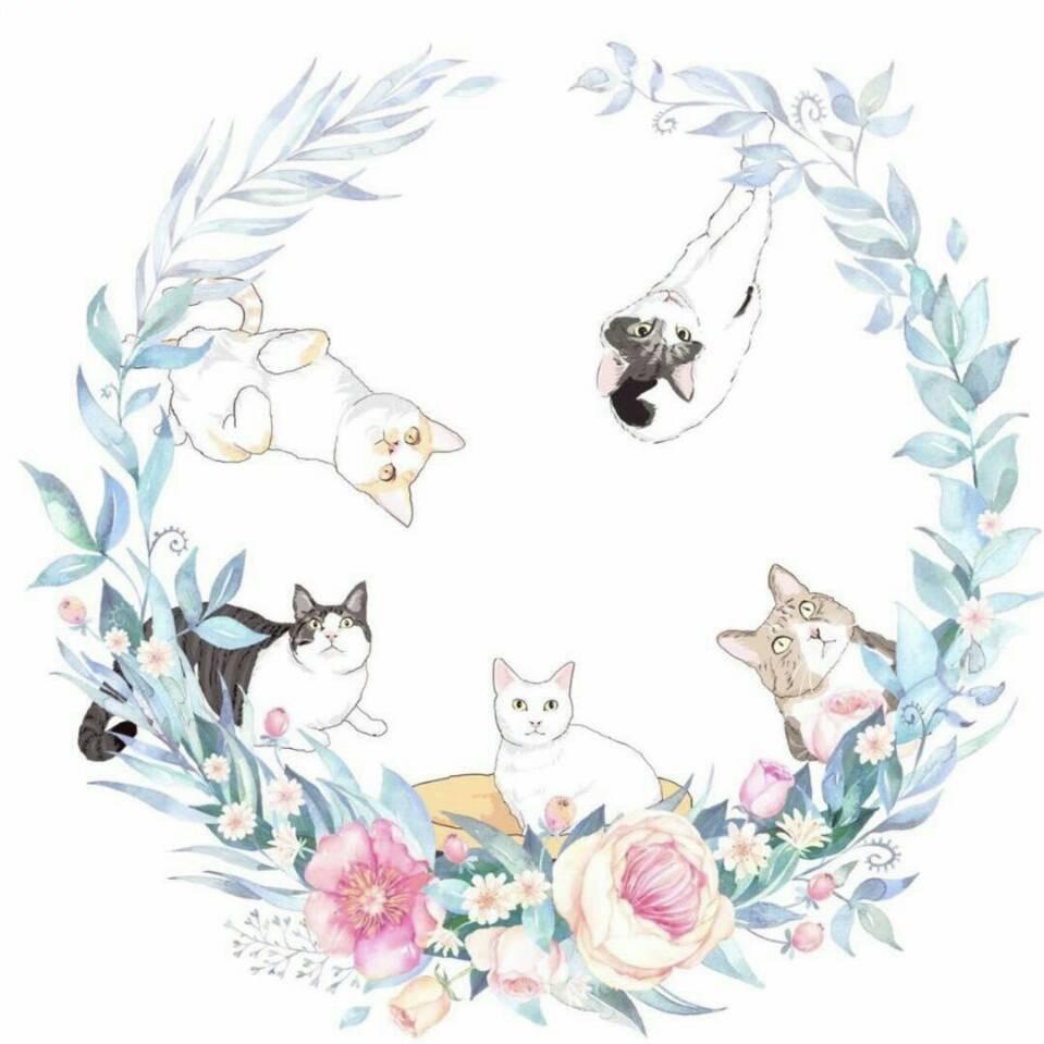 猴子的猫咪小镇