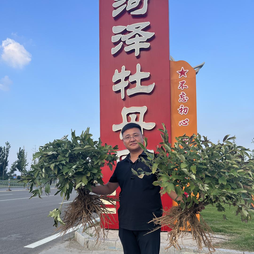 菏泽牡丹园总经理王志伟