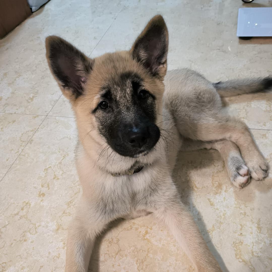 小葵妈