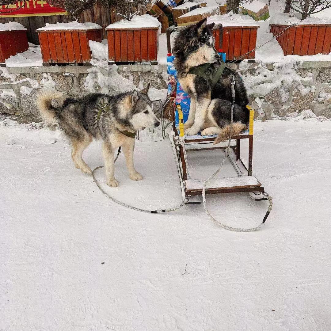 四方游❄️（雪乡专场）
