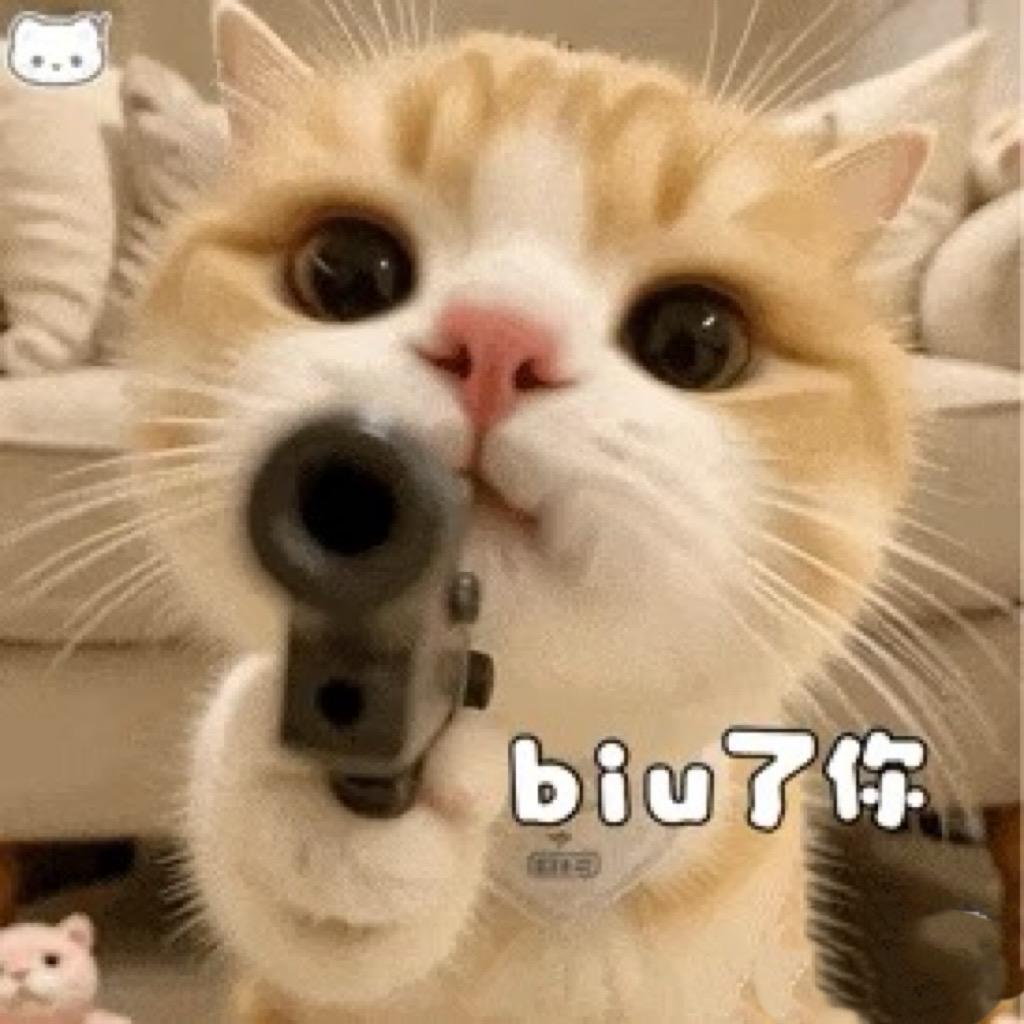 特一安