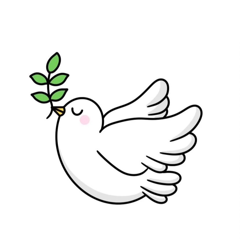 小白鸽