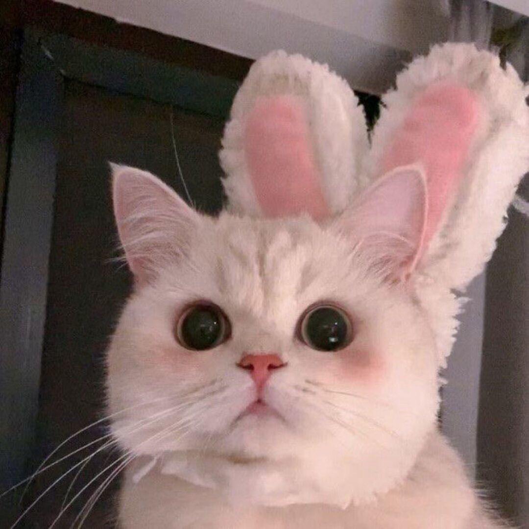 周舟大王.🐰