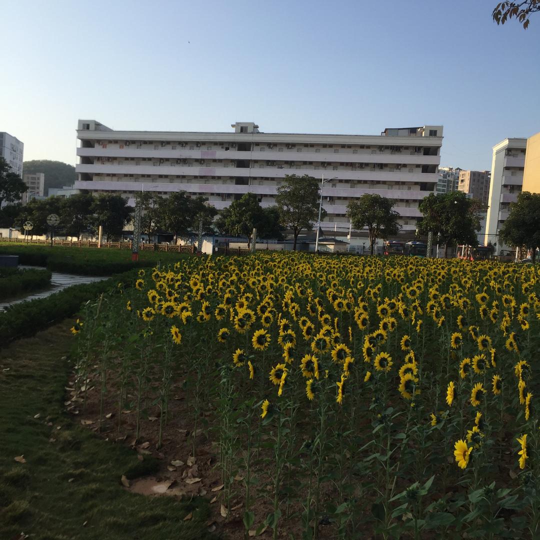 林姐💗💗💖💝