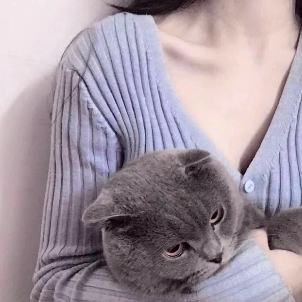 A·十一