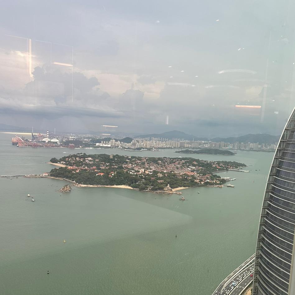 后来的我们