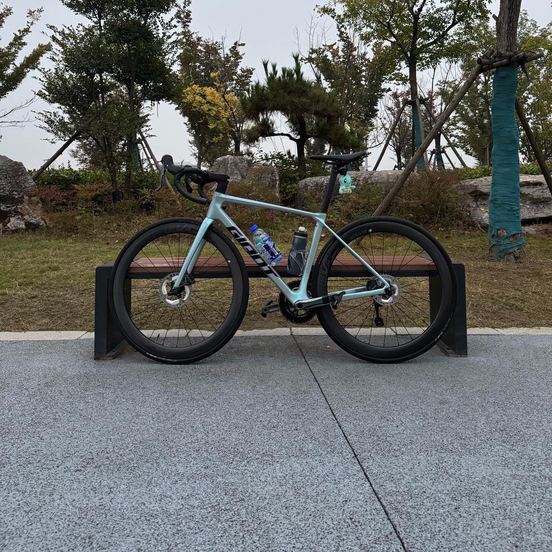 骑乌龟的小蚂蚁