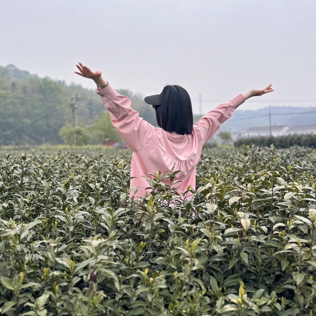 果不其然