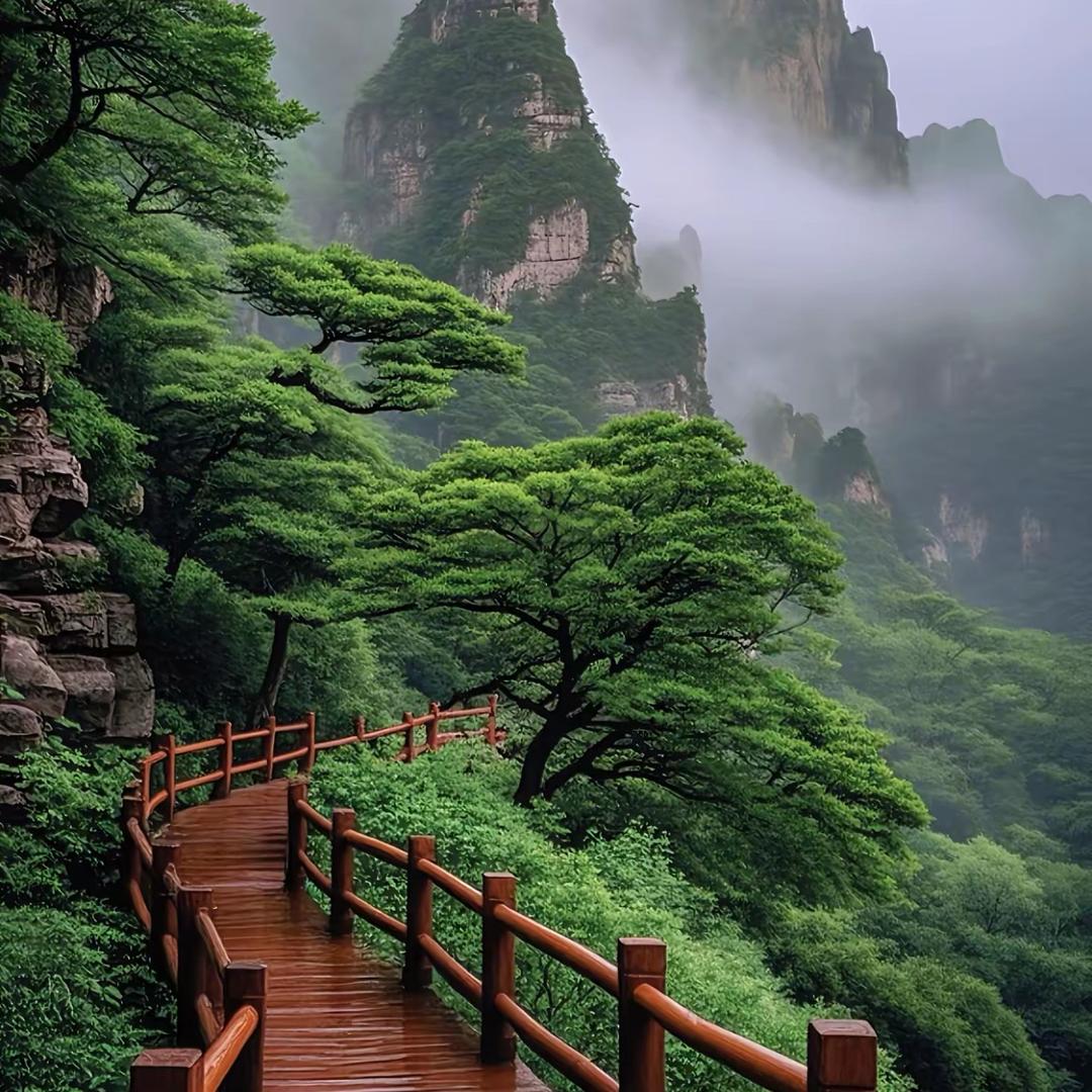 青山常在