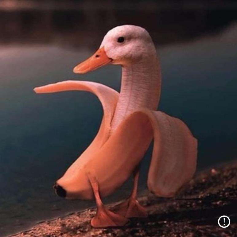 狂飙