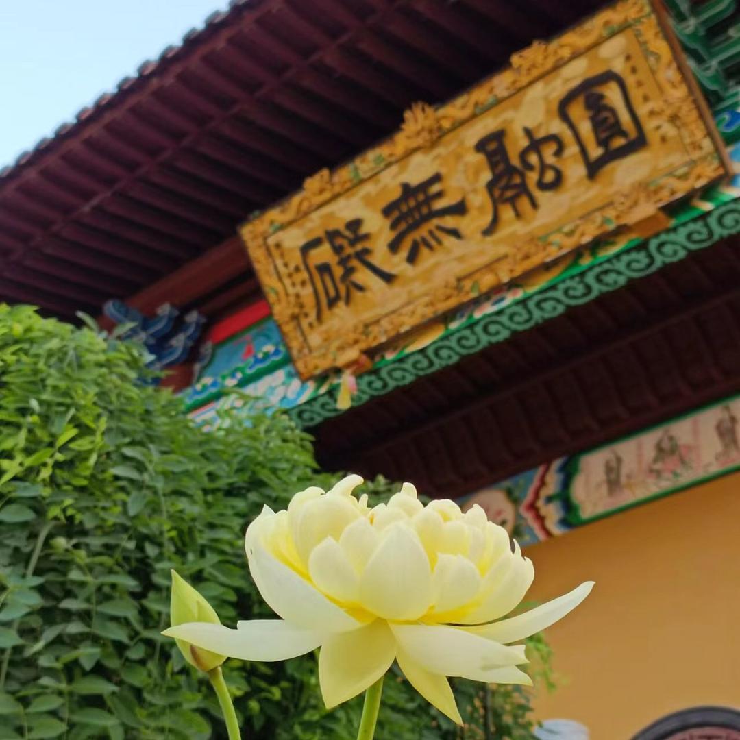 释湛忠