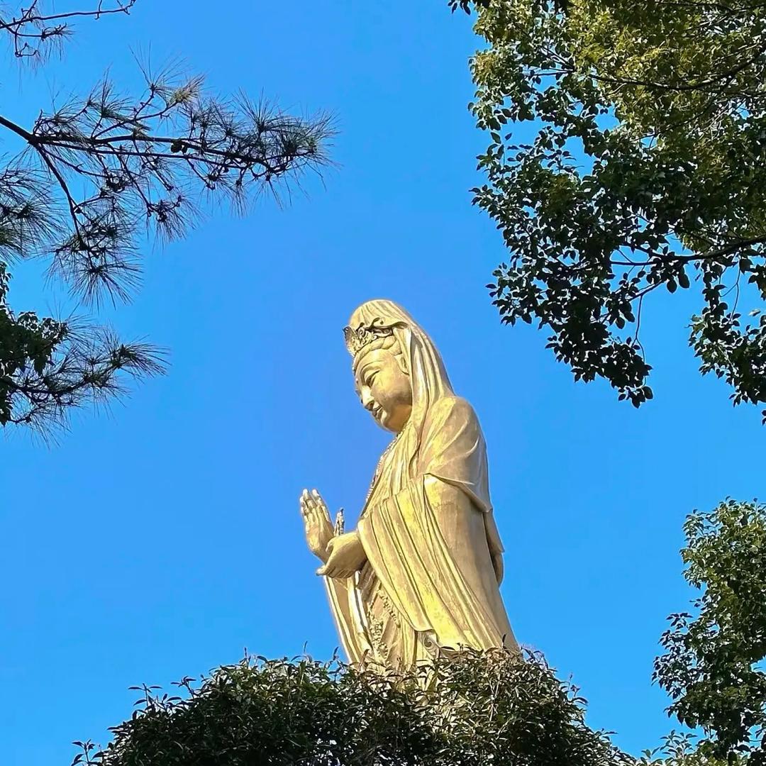 越来越好【普陀无铮】