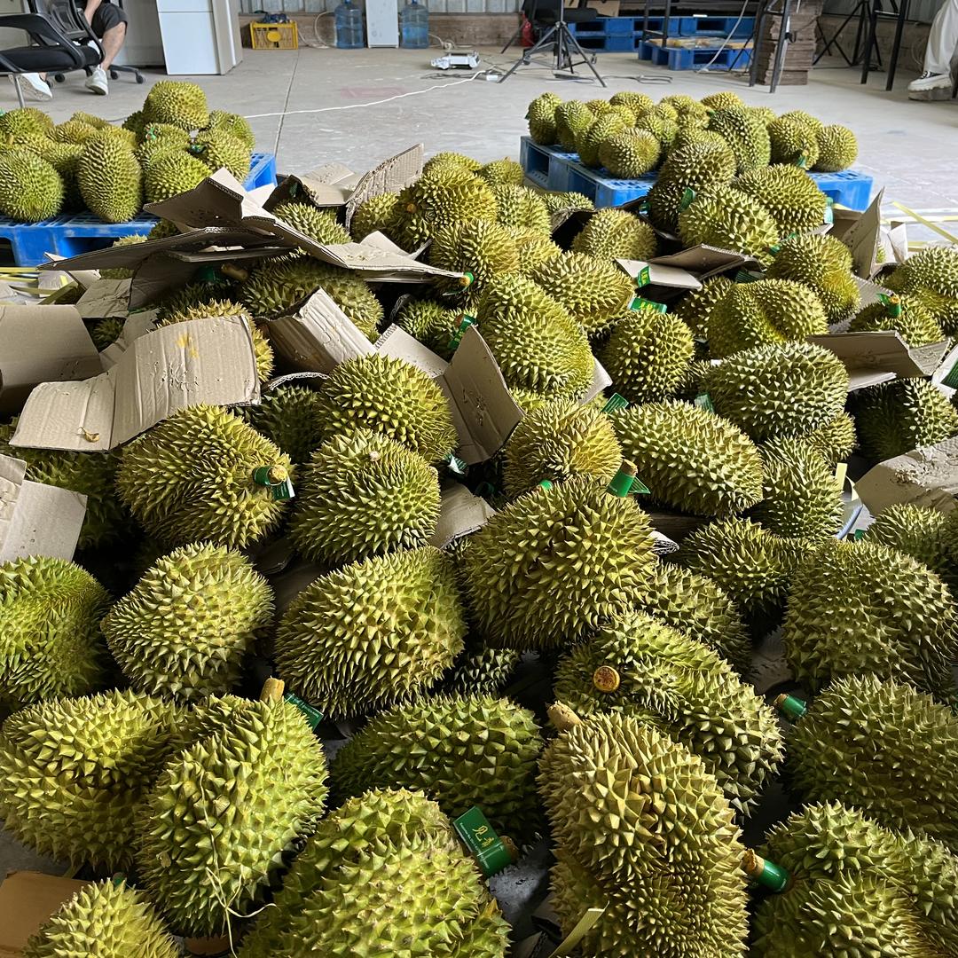 嘉品果