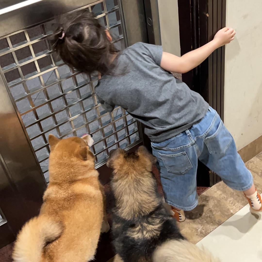 果果爱七饭呀💕