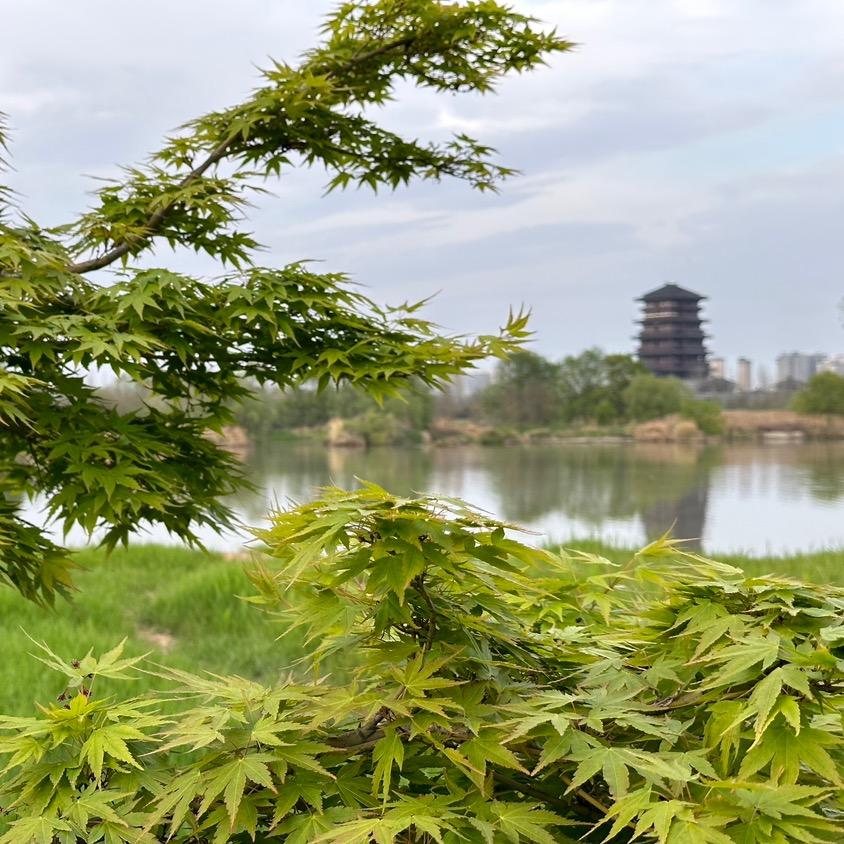 死神拦截者
