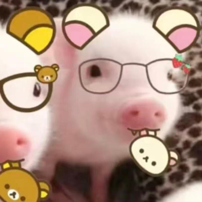 李丹丹.