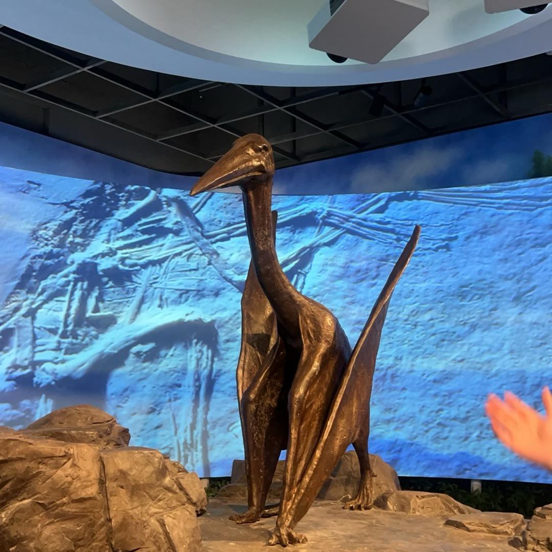 奋斗是只田园犬