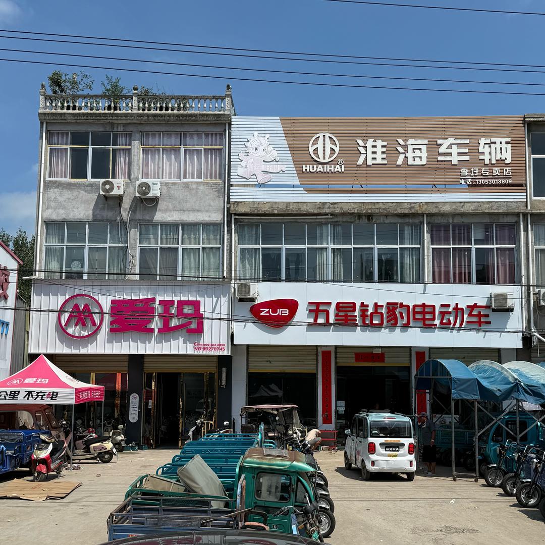 李圩李朴五星钻豹爱玛