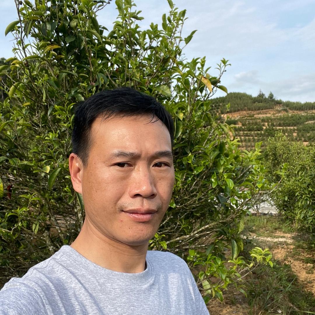 饶平县汫洲镇天幸茶行