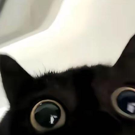 悲伤的糖醋排骨