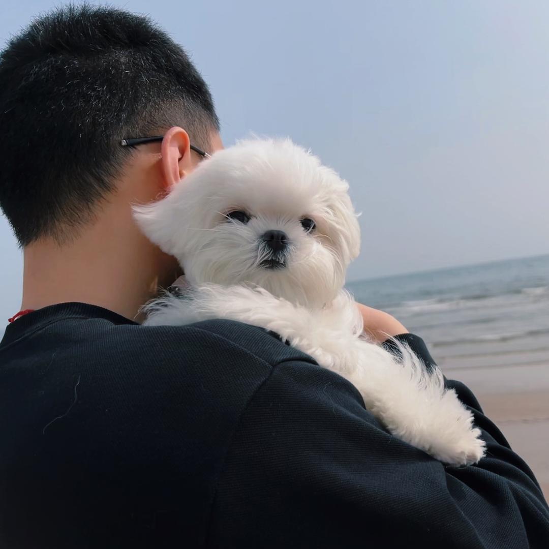 熙仁