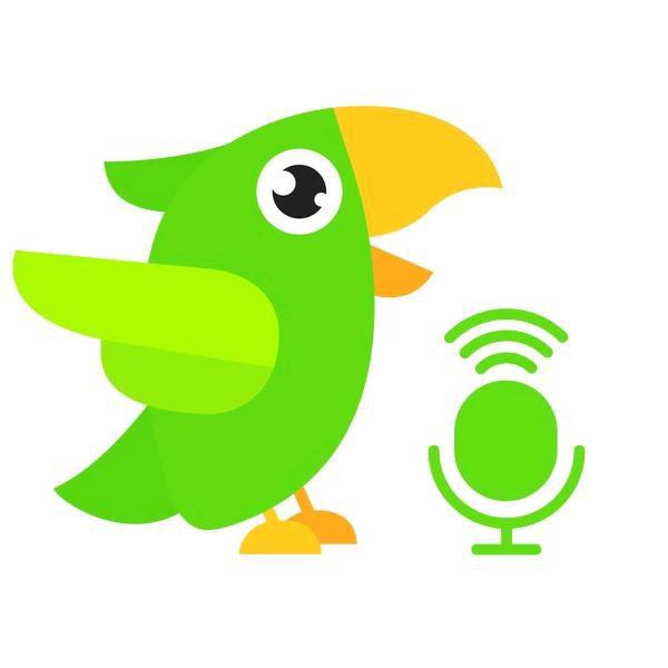 英语趣配音教育直播间